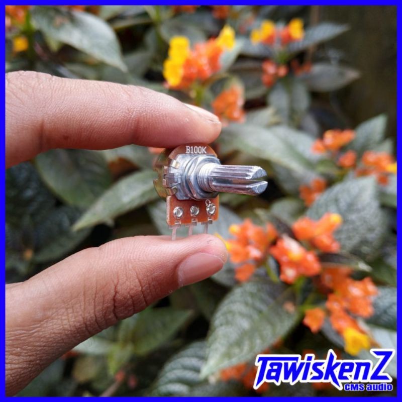 (COD) Potensio Mono B100K / B50K 3Kaki