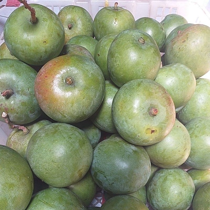 

READY MURAH mangga apel fresh 500 gram/mangga rujak