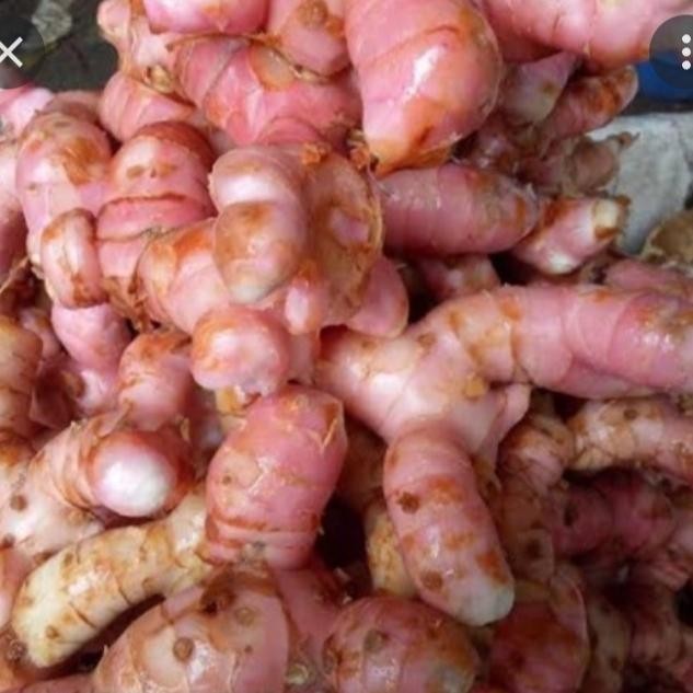 

Lengkuas Super 100gr