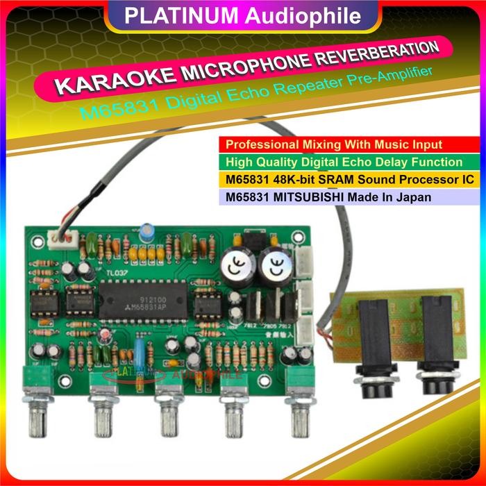 Digital Echo Reveberation Pre Amplifier Professional Sound Processor Mixing Karaoke Mic M65831