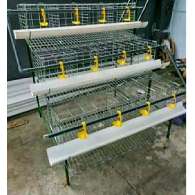 Kandang Ayam Petelur Full Set Tanpa PenyanggahCO