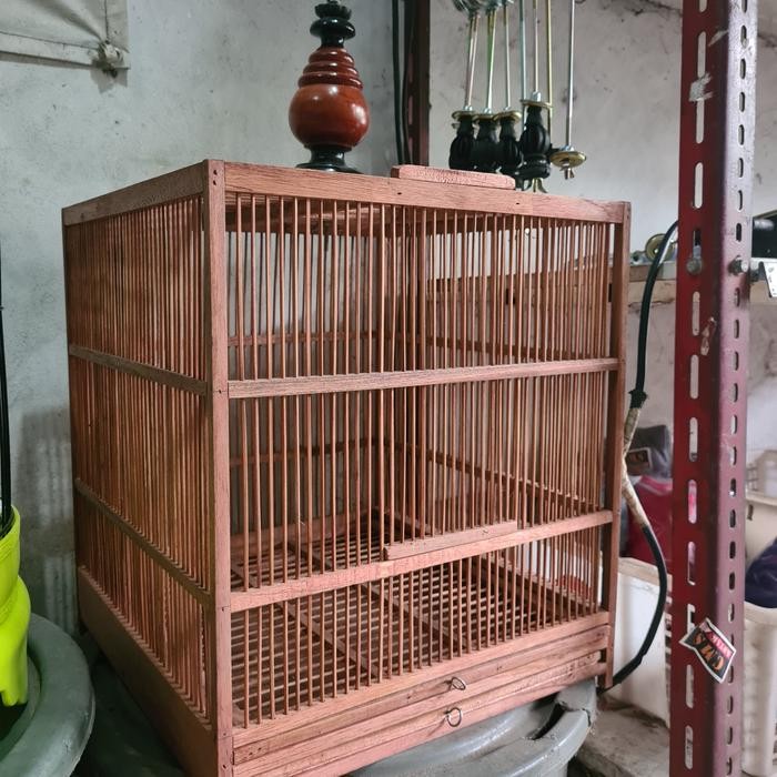 sangkar penjinakan wambi