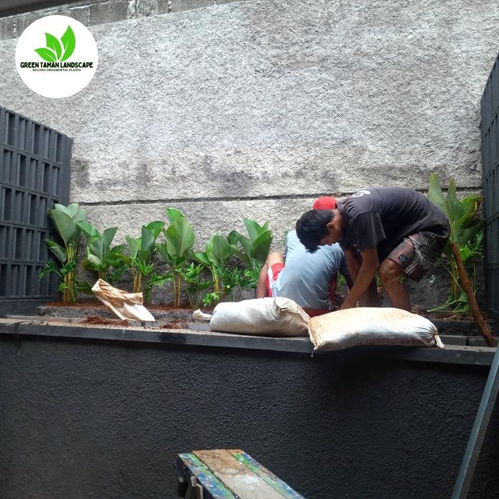 Pembuatan taman minimalis villa puncak bogor