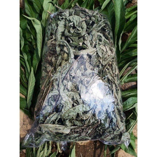 

AZ Daun sungkai KERING Herbal 200 gram TERMurahh