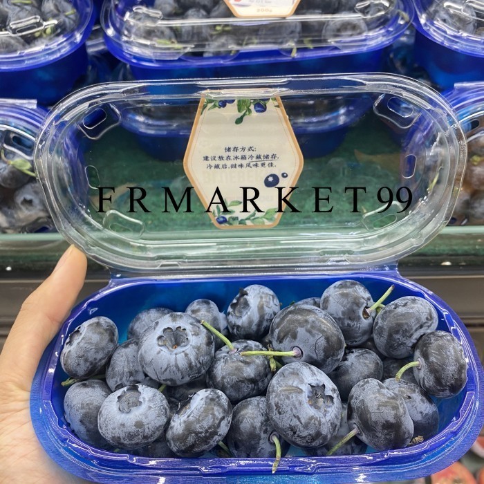 

Promo Buah Blueberry Super Jumbo Import Australia Fresh / Pack