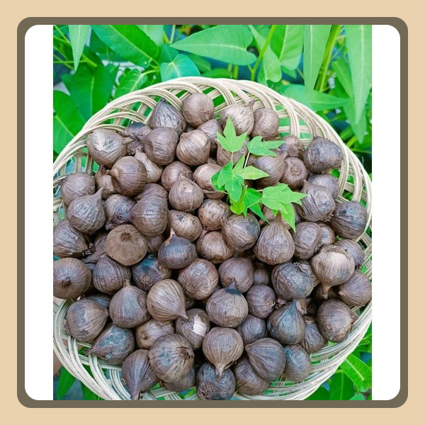 

BLACK GARLIC TUNGGAL 1KG