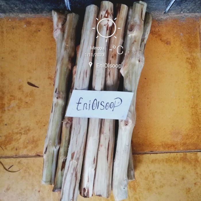 batang kayu senggani untuk bahan membuat Aquascape ukuran besar - dim 3 cm, 30 cm