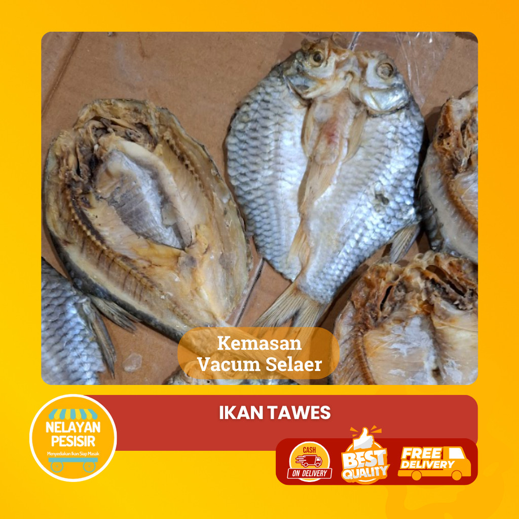 

Ikan Asin Tawes Belah Tahan Lama Bersih dan Higienis Kualitas Premium