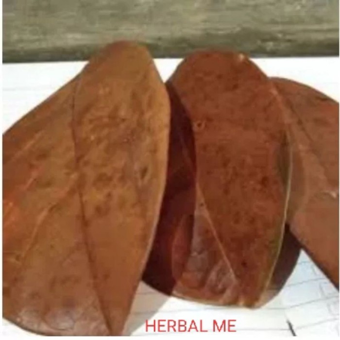 

promo COD DAUN NANGKA KERING 100LEMBAR TERBAIK OBAT HERBAL .