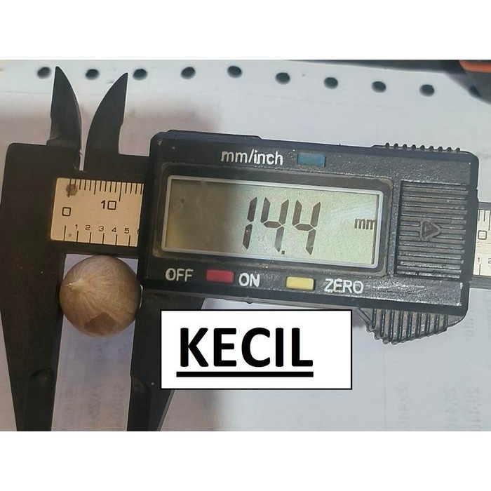 

Bawang Putih Tunggal Lanang 1 KG - Tunggal_Kecil