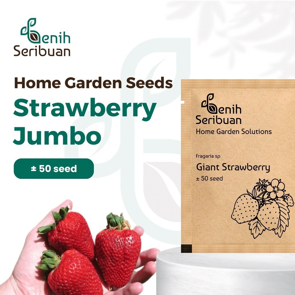 Benih Seribuan - Benih Buah Strawberry Jumbo Unggul