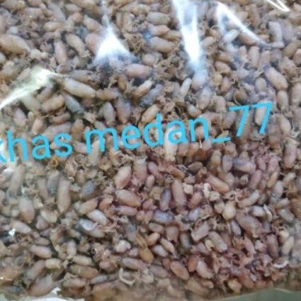

Babycumi super imut baby cumi halus 500gram