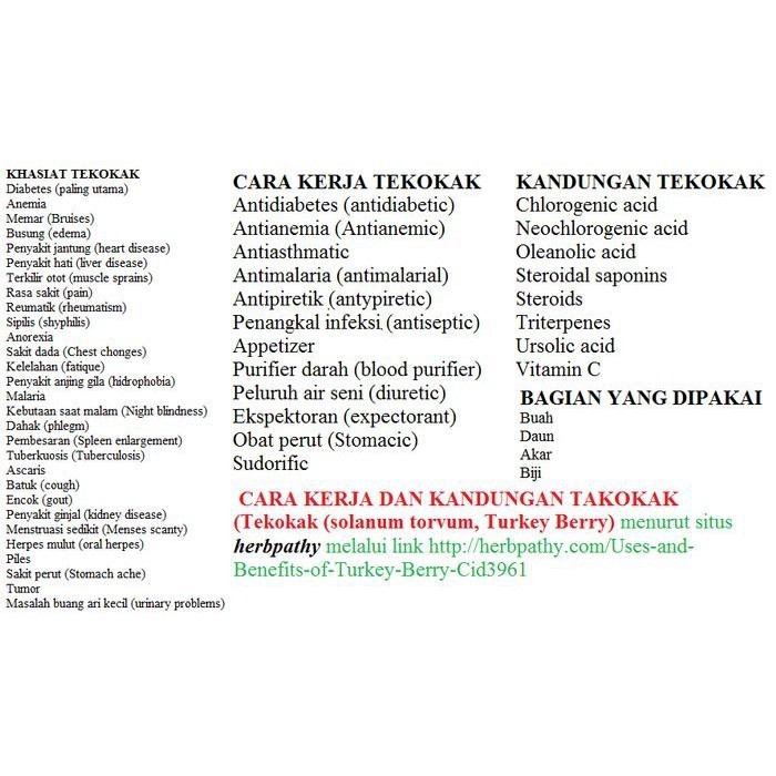 

Sahabatal Buah Takokak segar 1 Kg / Tekokak (solanum torvum) KC