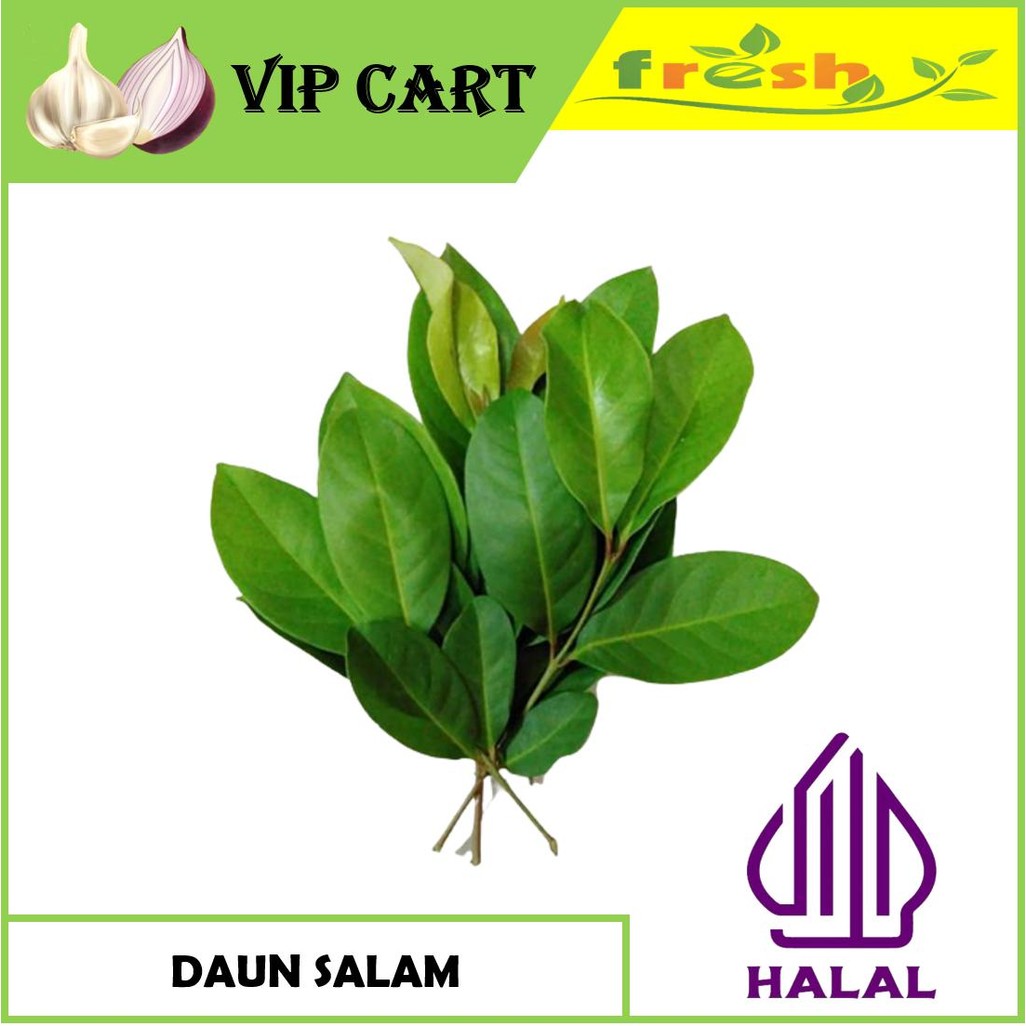 

DAUN SALAM SEGAR PER IKAT - BUMBU DAPUR