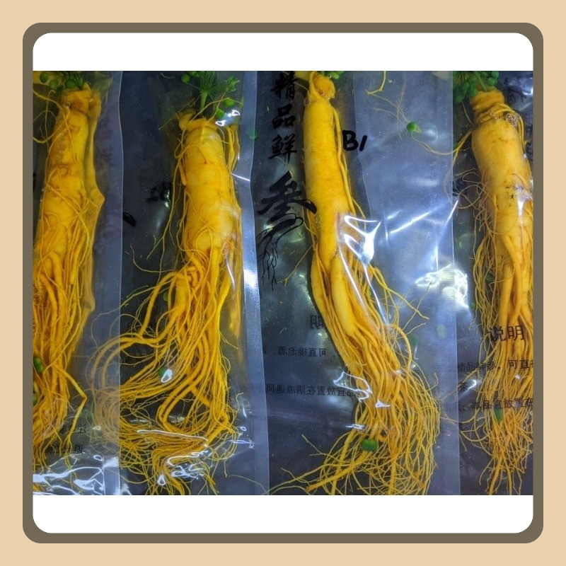 

Akar Ginseng Cina Asli 200 Gram Import Vakum