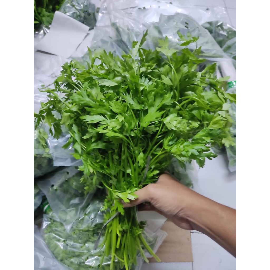 

ASBA SAYUR BAGDUNIS/PARSLEY 200GR