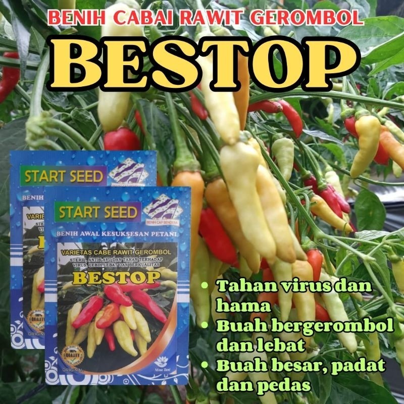 Benih Unggul Cabe Rawit Gerombol BESTOP 2000 biji