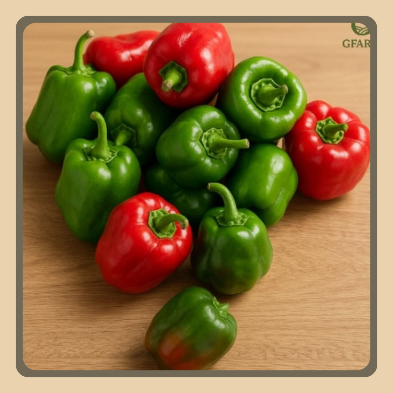 

Cabai / Cabai Gendot / Cabai Gendot Asli Dieng