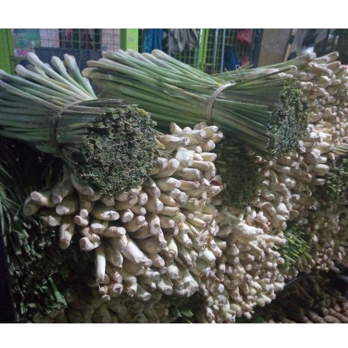 

Daun Sereh Segar Pilihan 1Kg termurah