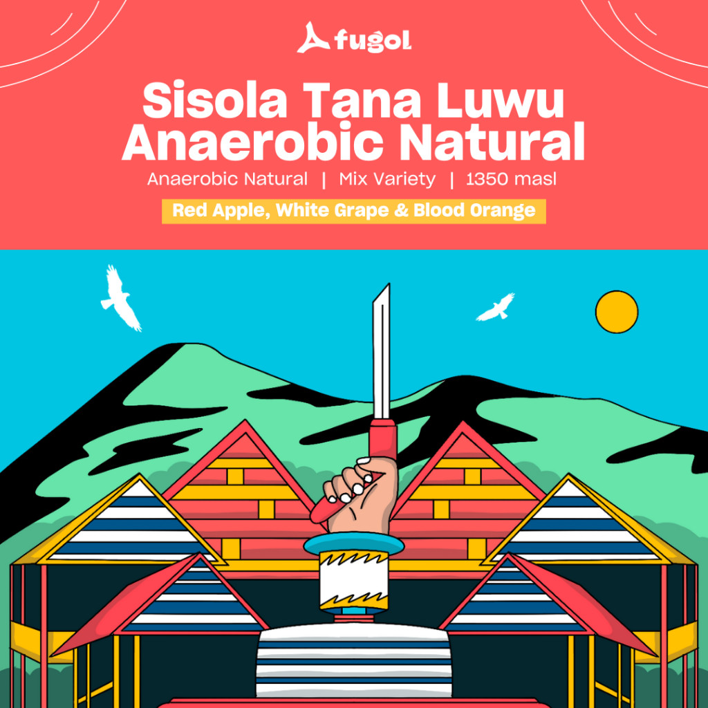 

Kopi Arabika Sisola Tana Luwu Anaerobic Natural (100 gram) Specialty Coffee Beans