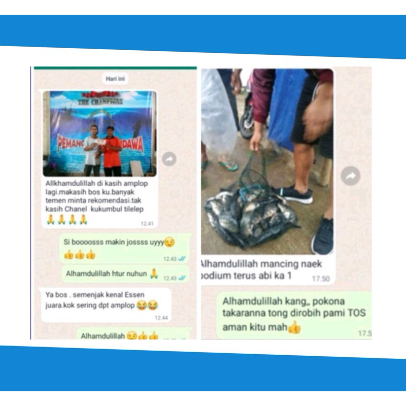 Essen Ikan Mas Paling Bagus, Essen Juara Untuk Lomba Mancing Ikan Mas Harian, Essen Ikan Mas Galapun