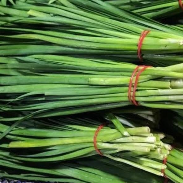

Daun Kucai 250gr Segar dan Baru