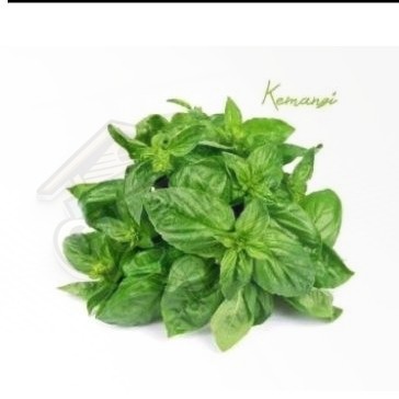 

kemangi per ikat (Sayur solo)