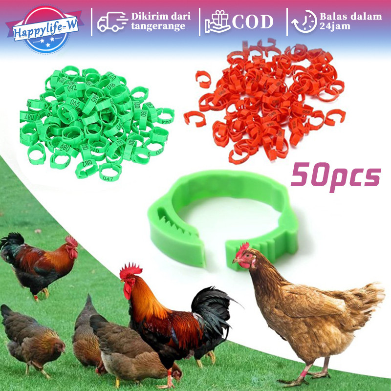 Isi 50 Gelang Kaki Anak Ayam Gelang Untuk Ayam Gelang Kaki Ayam Bangkok Ring Ayam Bangkok Gelang Kak