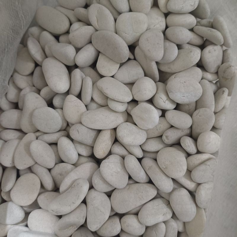 Batu Taman Putih KARUNGAN 20kg / Termurah / Batu Coral Putih Kupang / Batu Kupang / Batu Taman Putih
