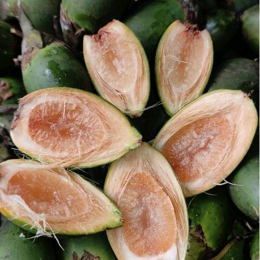 

Ready stok buah pinang ceming Buah Pinang Muda Segar 500gram - Kualitas Terbaik