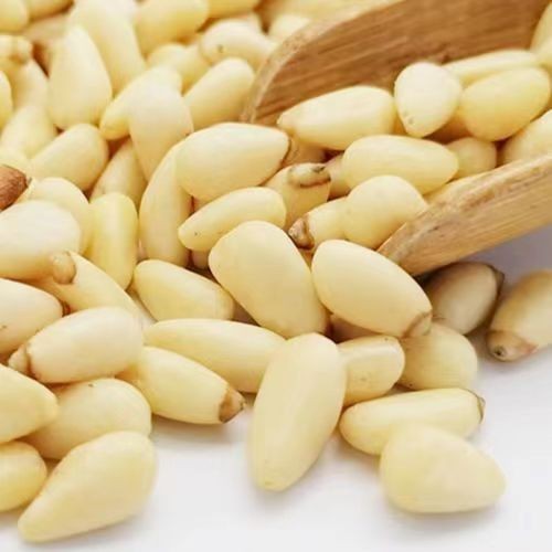 

Raw Pine Nut 500 gr / Kacang Pinus Mentah Premium