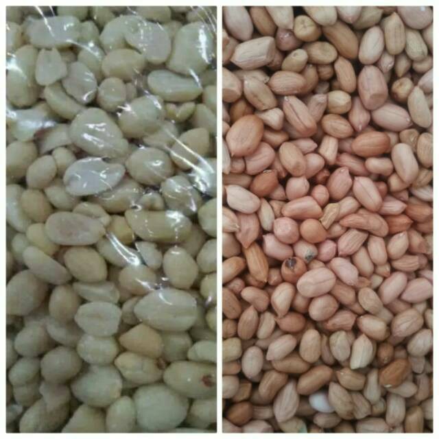 

Kacang tanah / kacang kupas 1kg MENTAH