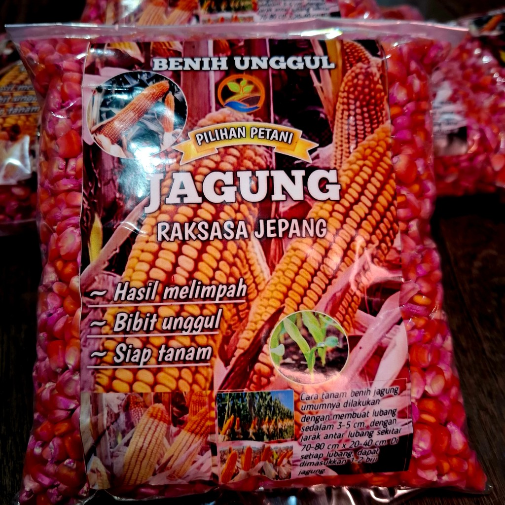 TERLARIS 1 KG BIJI / BENIH JAGUNG RAKSASA