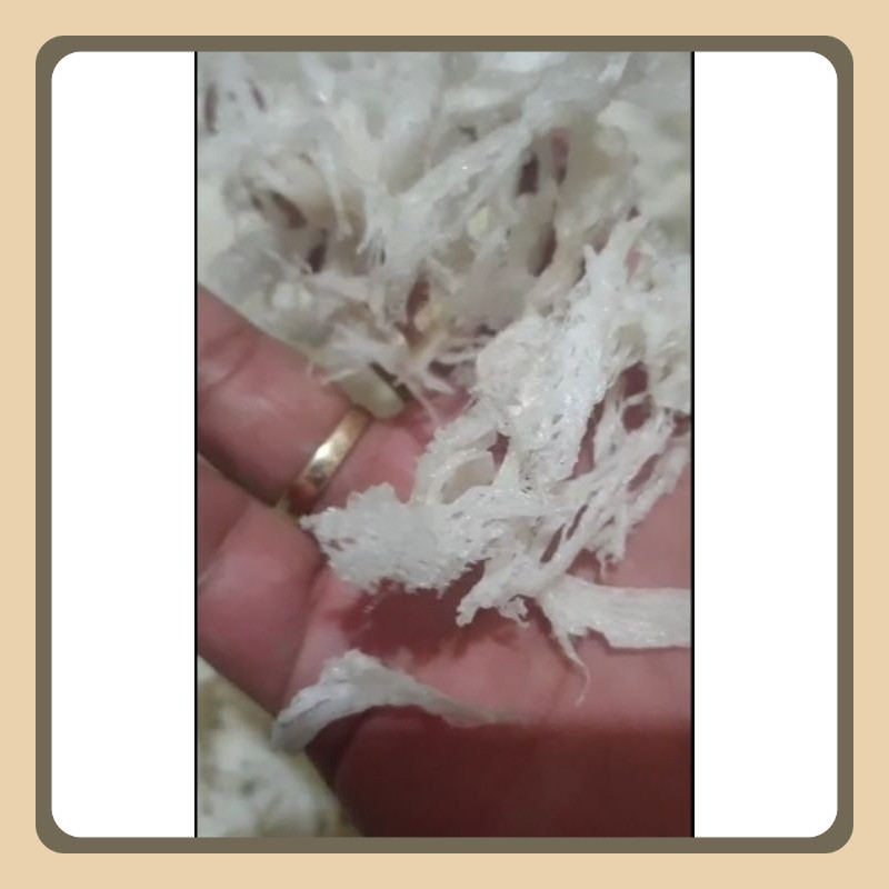 

Sarang Walet Bersih Patahan Per 5Gr