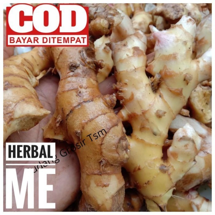 

COD Lampuyang /Lempuyang Segar / Lempuyang Harga Langsung dari perkebunan .