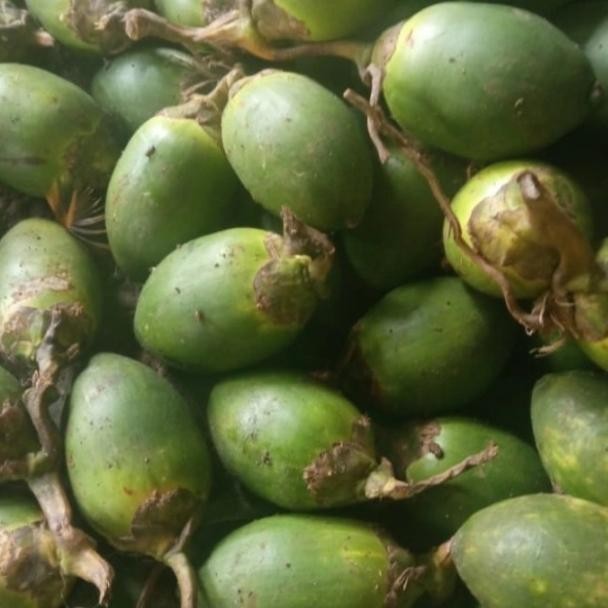 

Ready stok buah pinang ceming buah pinang muda per 1 buah