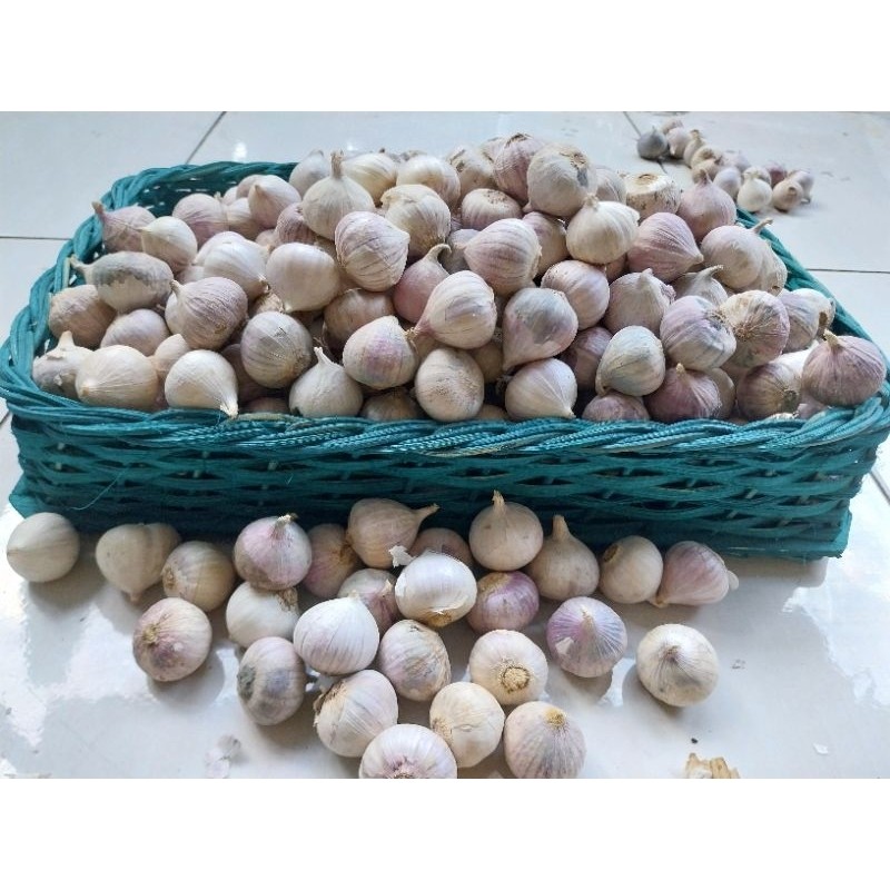 

100Gram BAWANG PUTIH TUNGGAL/ BAWANG PUTIH LANANG 100Gram/HERBAL PREMIUM BAWANG LANANG SUPER 100Gram