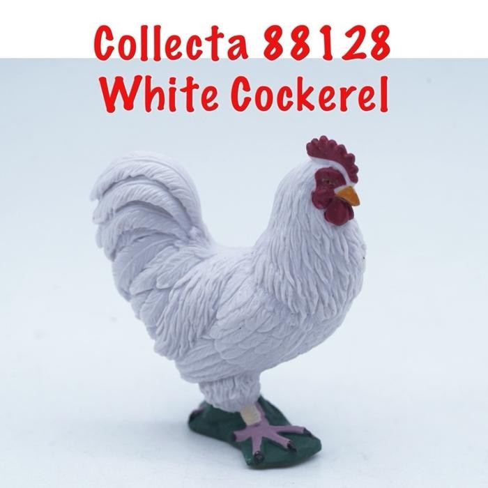 Collecta 88128 White Cockerel Chicken Ayam Gallus gallus domesticus Binatang Figure Pajangan Mainan 