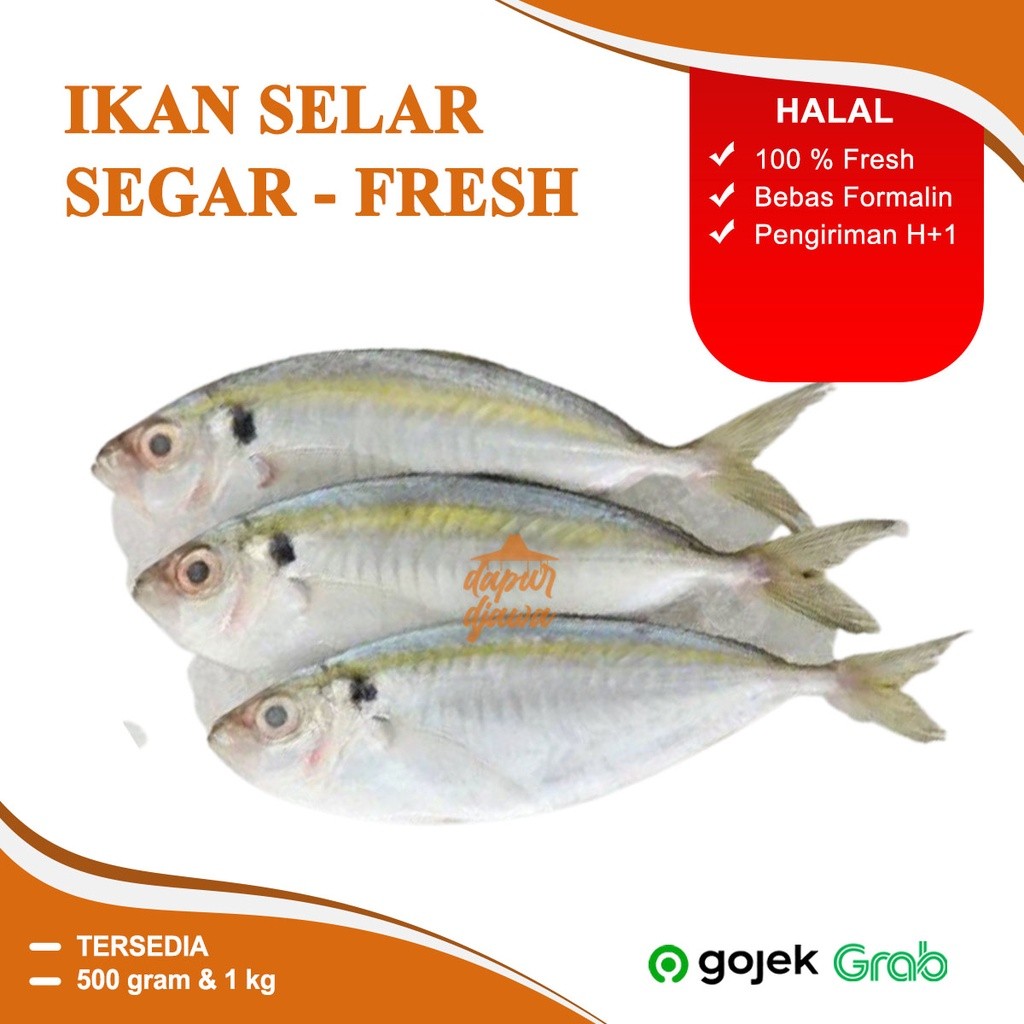 

IKAN SELAR KUNING SEGAR FRESH 1KG 500 GRAM 500GR MURAH PREMIUM