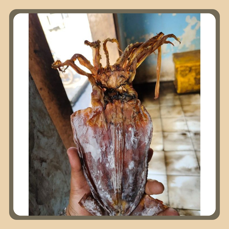 

Cumi kering sotong tawar khas Cilacap