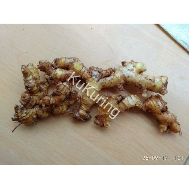 

Lempuyang Lampuyang segar herbal 500gr ready stok