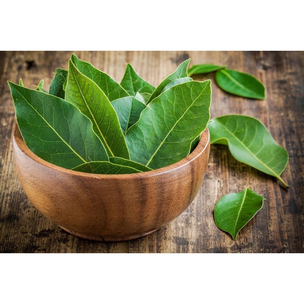 

DAUN SALAM SEGAR HARIAN 30 GR