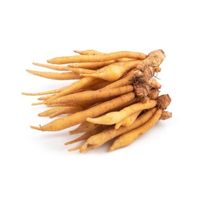 

Temu Kunci Fresh || 100gr ready .