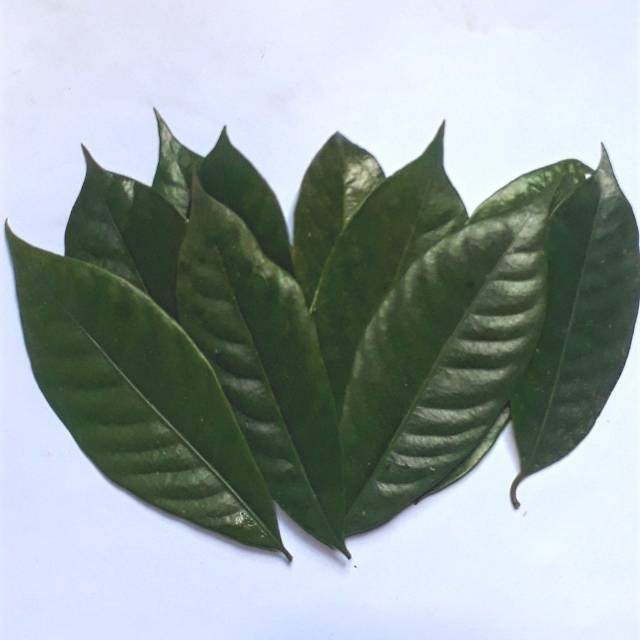 

Korehcok Daun pala segar 200 gr