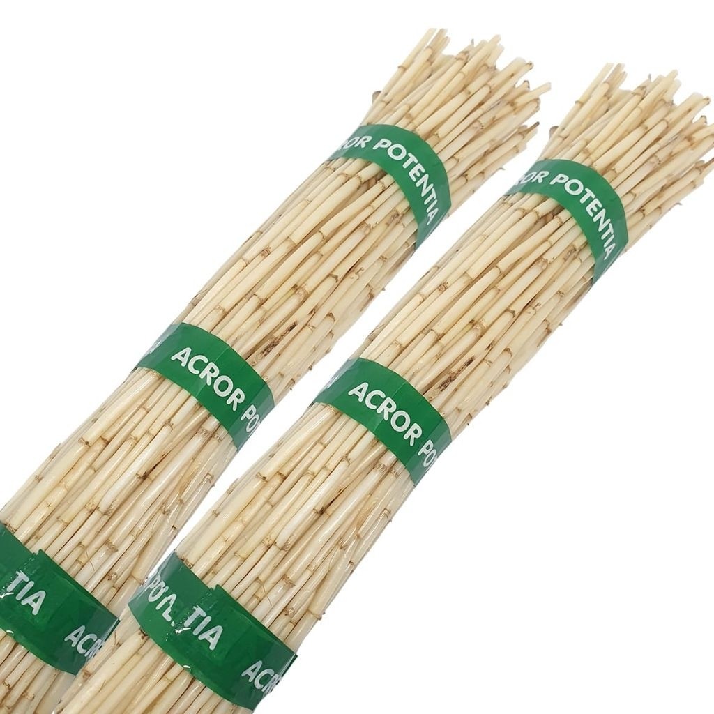 

Akar Alang-Alang (Akar Ilalang 2 ikat / 500g)