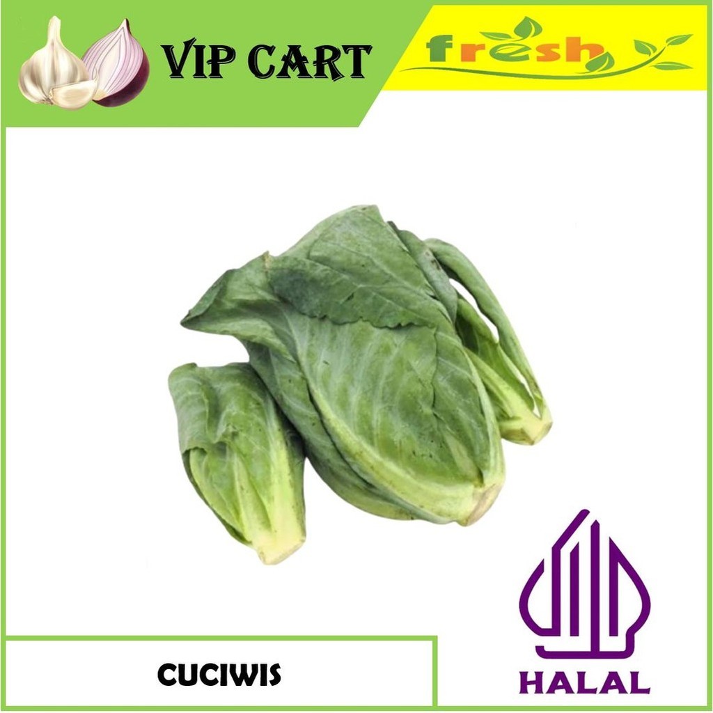 

SAYUR CUCIWIS SAYUR CIWIL 250 GRAM - VIP SAYUR