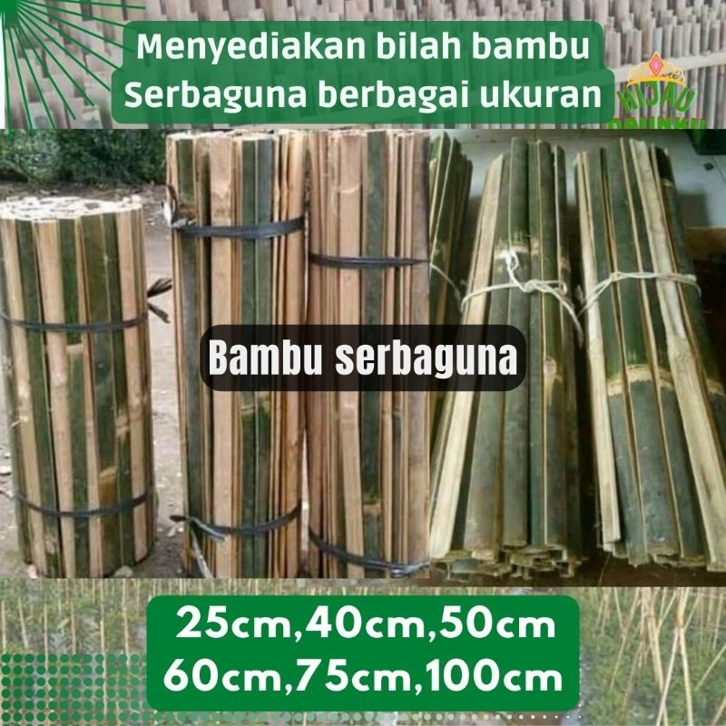Plant Stake Bambu Bilah Raut Turus Ajir Tiang Penyangga Panjang 10cm 20cm 30cm 40cm 50cm 60cm 70cm 8