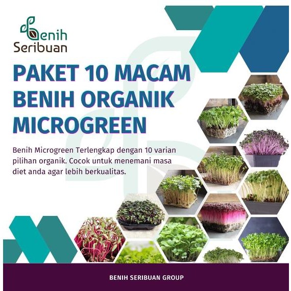 Benih Microgreen Paket 10 Macam Bibit Microgreen Sprout Organik