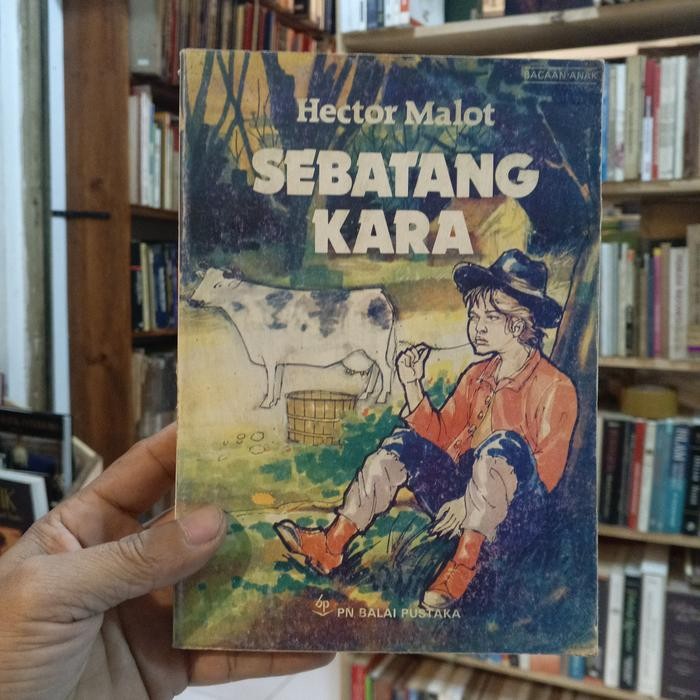 SEBATANG KARA OLEH.HECTOR MALOT