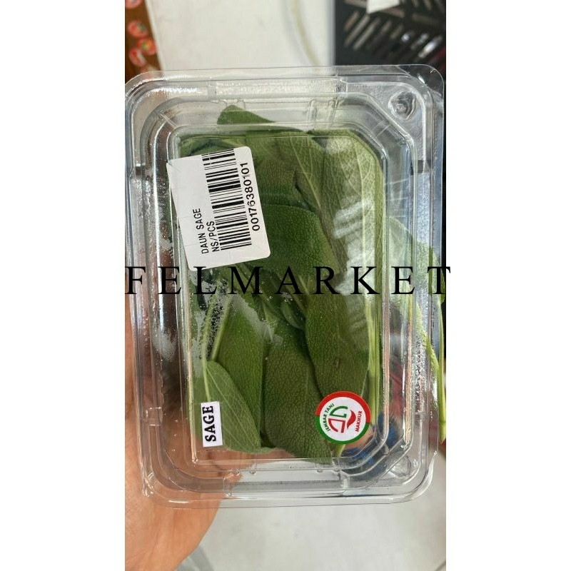 

Daun Sage Fresh / Sage Segar / Pack
